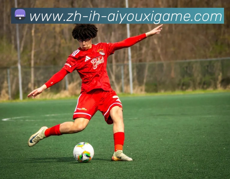 爱游戏平台生态图